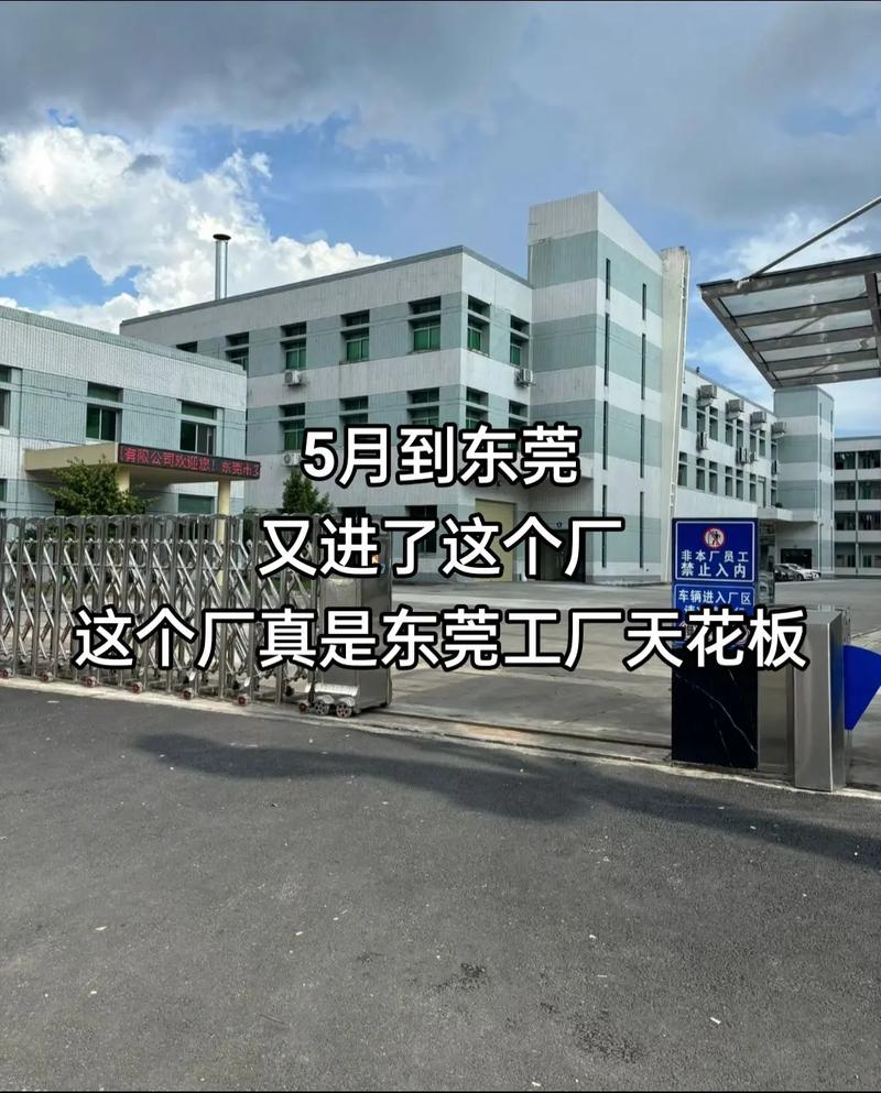 1km.我又回到了这个熟悉的地方#工厂实拍 #工厂